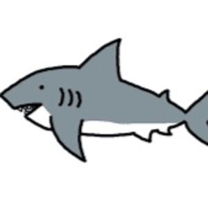 Meet your Posher, Cece